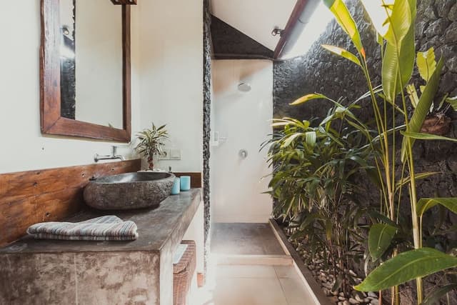 Deluxe Single Room, Garden View