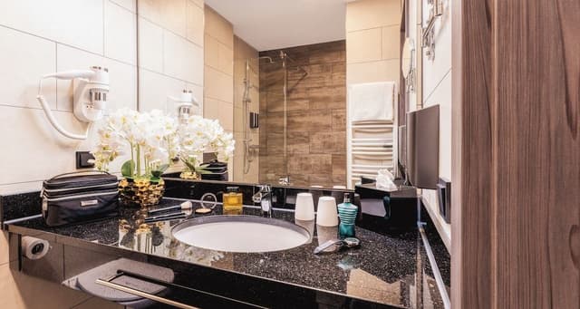 Premium Double Room
