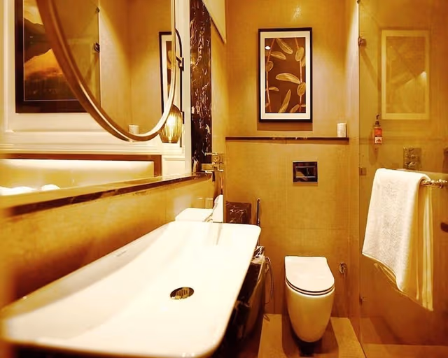 Suite, 1 King Bed with Sofa bed
