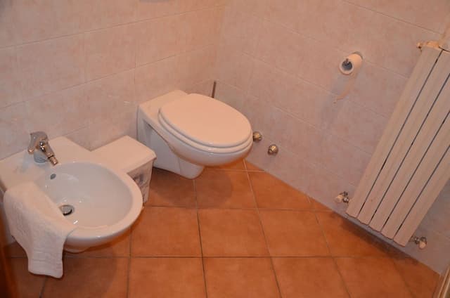 Basic Double Room