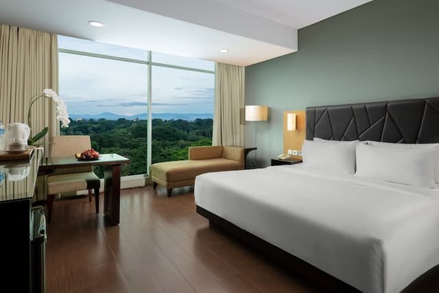 Executive Room