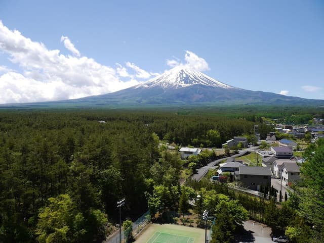 Corner Suite Room The Fuji(11F) with Mt. Fuji View Non-Smoking