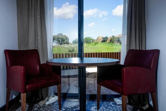 Deluxe Queen Suite