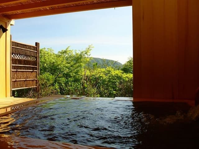 Twin Room w/ Private Onsen & Terrace (1F) Halfboard (Breakfast & Dinner), Check-in 3pm-6pm