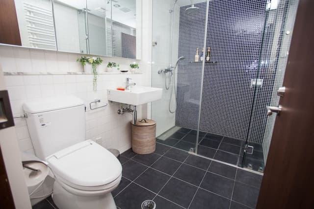 Deluxe Apartment, 3 Bedrooms