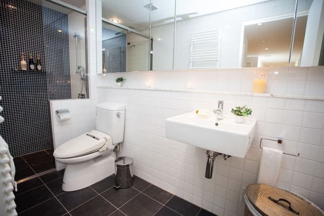 Deluxe Apartment, 3 Bedrooms