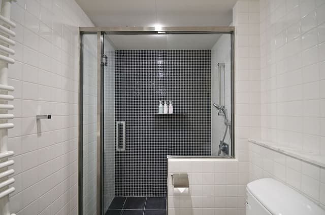 Deluxe Apartment, 3 Bedrooms
