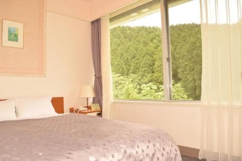 Economy Double Room - Non-Smoking