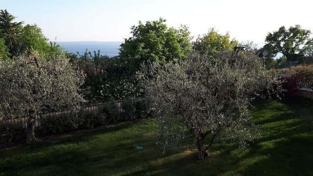 Suite, Balcony, Lake View