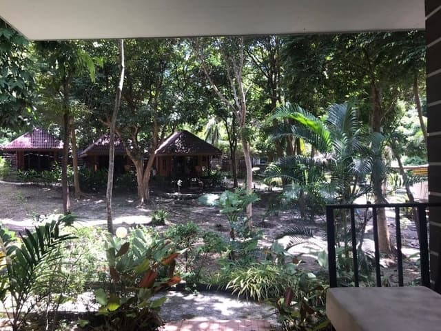 Deluxe Garden Room