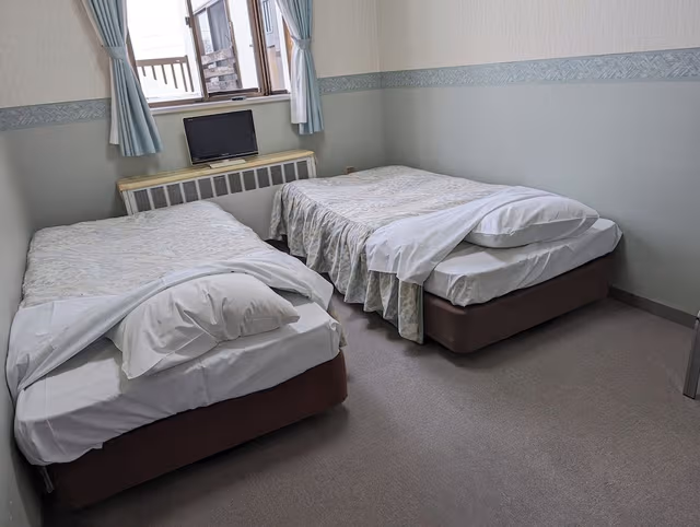 Basic Twin Room