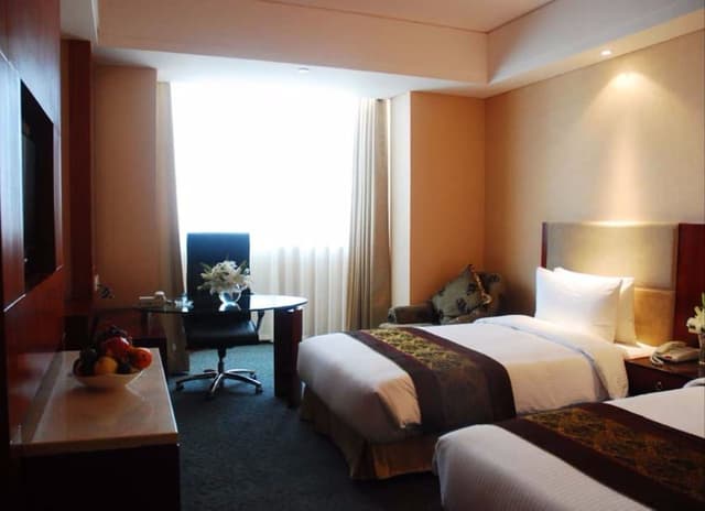 Twin / Double Room with City View