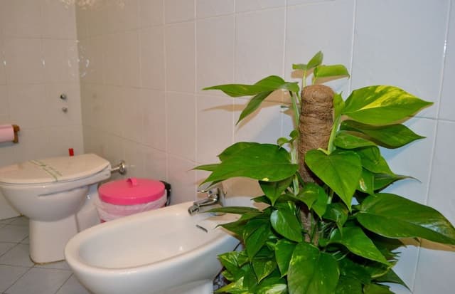 Triple Room, Shared Bathroom