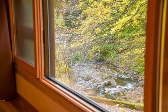 Traditional Twin Room, Non Smoking, River View