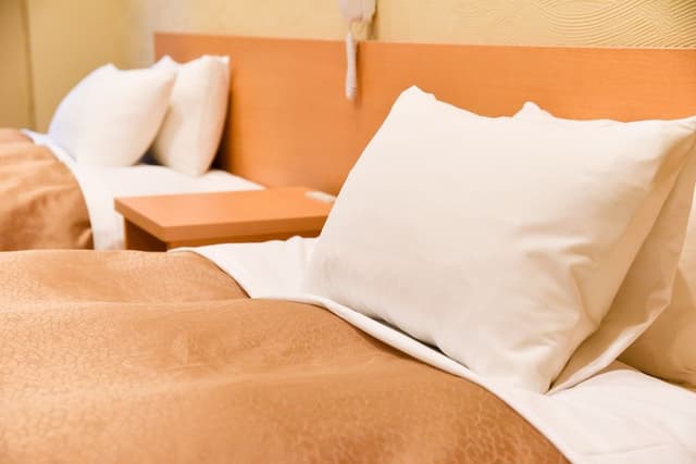 Traditional Twin Room, Non Smoking, River View