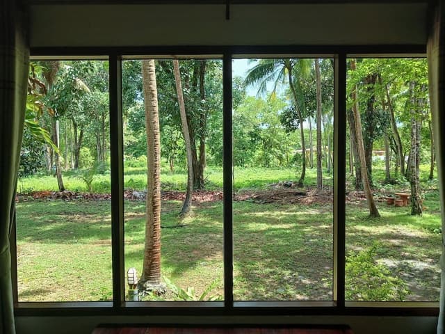 Family Bungalow