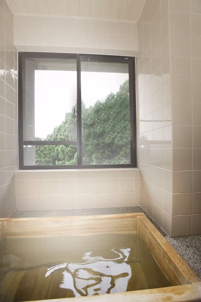TYPE 5 Suite Japanese Room / Lake View / Smoking (proxy reservation unavailable)