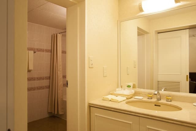 Suite Room, Non Smoking