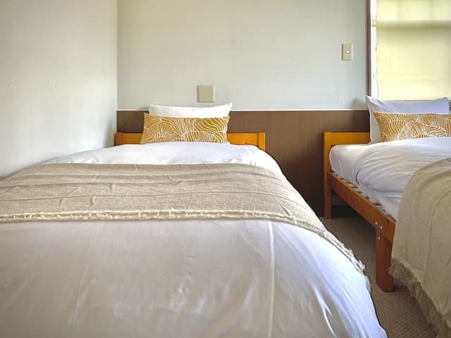 Mini Twin Room