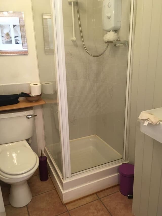 Single Room, 1 Twin Bed