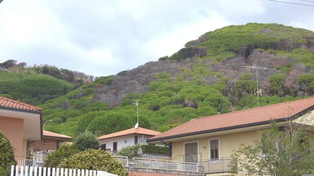 Room, 1 Bedroom, Smoking, Terrace