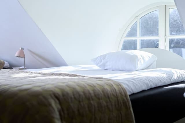 Family Studio, Multiple Beds
