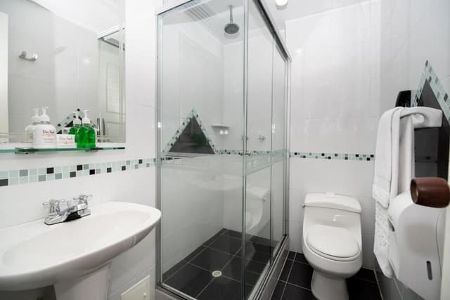 Habitación Sencilla Ejecutiva