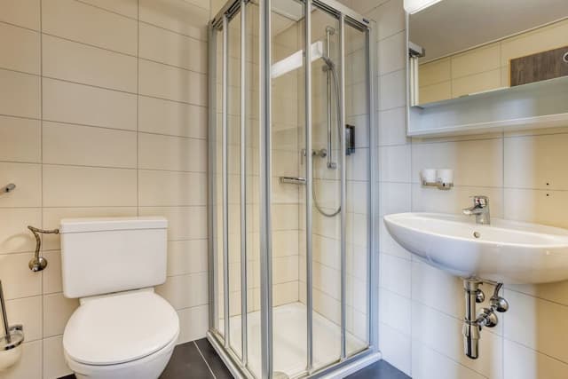Junior Suite, Mountain View