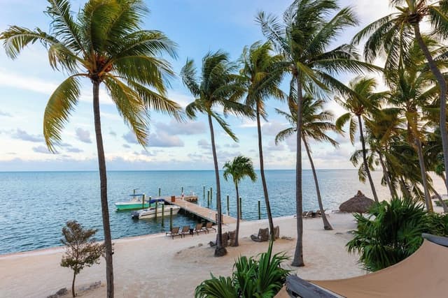 Alligator Reef Oceanfront Accessible Room King Bed