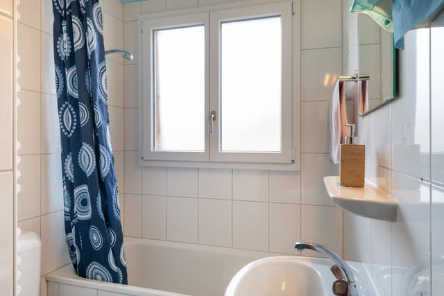 Basic Quadruple Room, Multiple Beds, Shared Bathroom, Mountain View