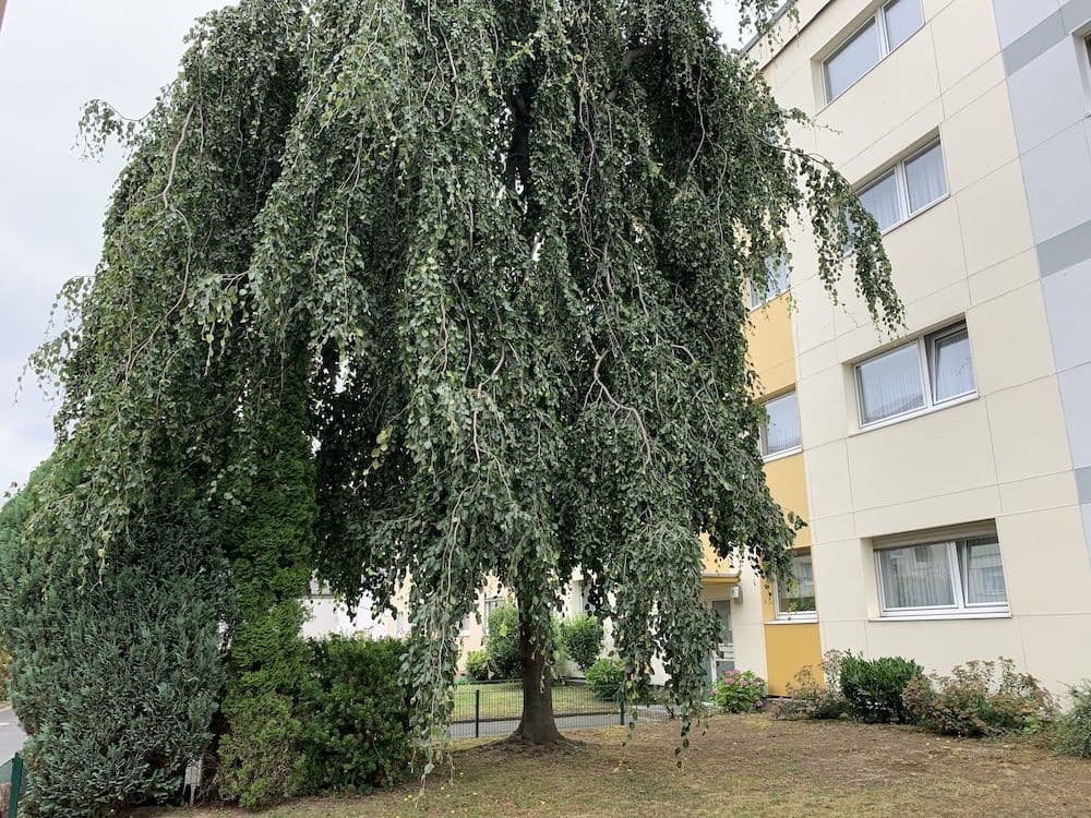 Airport Apartment Koln/Bonn Airport Apartment Koln/Bonn