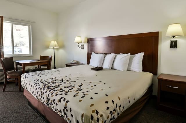 Deluxe Room, 1 King Bed