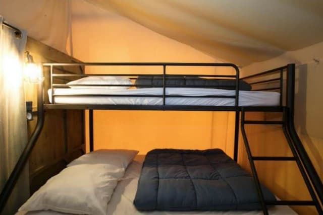 Premium Tent