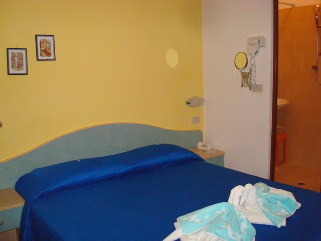 Classic Double or Twin Room