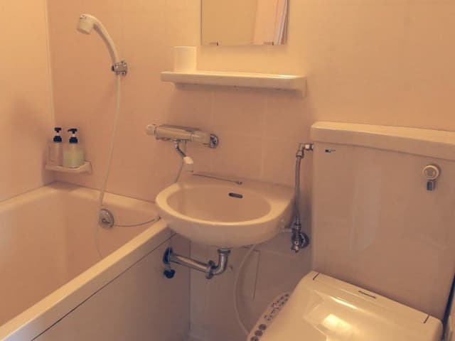 Family Room, Private Bathroom (For group and family)
