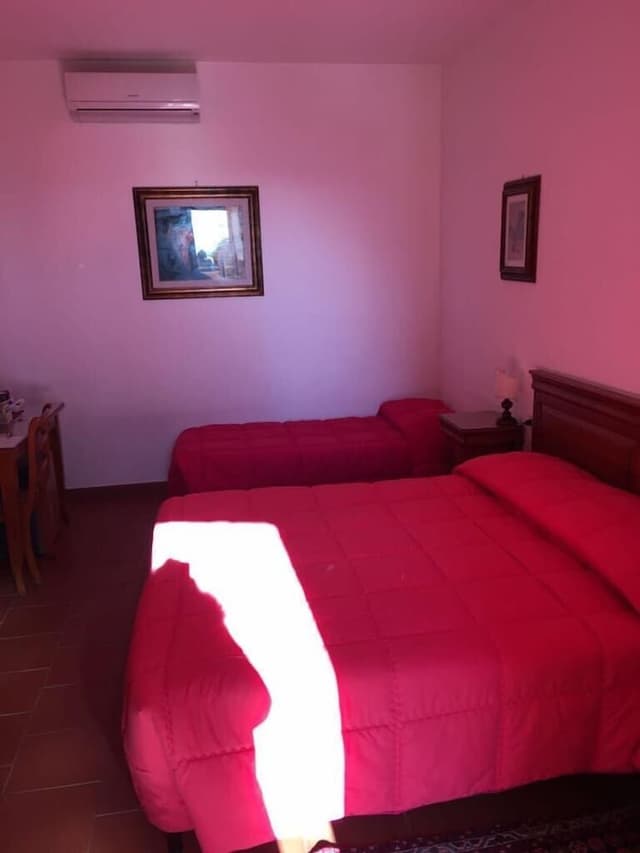 Double or Twin Room