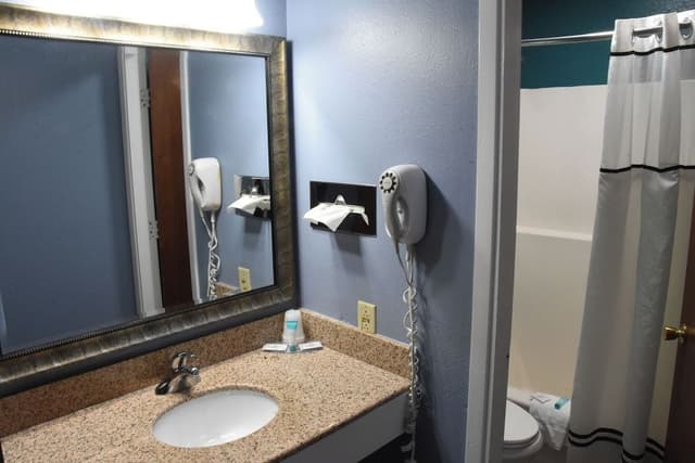 Single Room, 1 King Bed