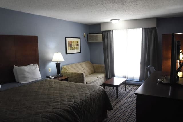Single Room, 1 King Bed