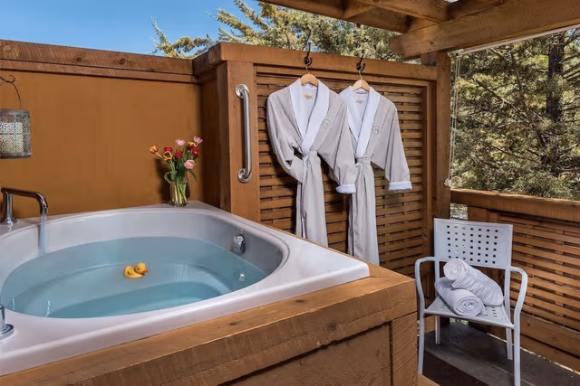 The Gray Pine, 1 King Bed, Private Bathroom, Mountain View