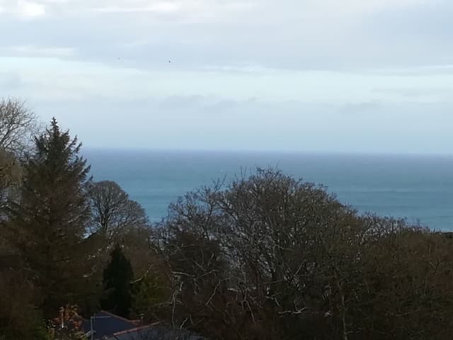 Single Room, Sea View