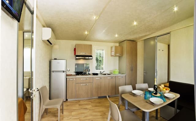 Deluxe Mobile Home