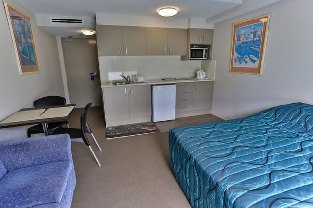 Deluxe Studio (Triple Room )