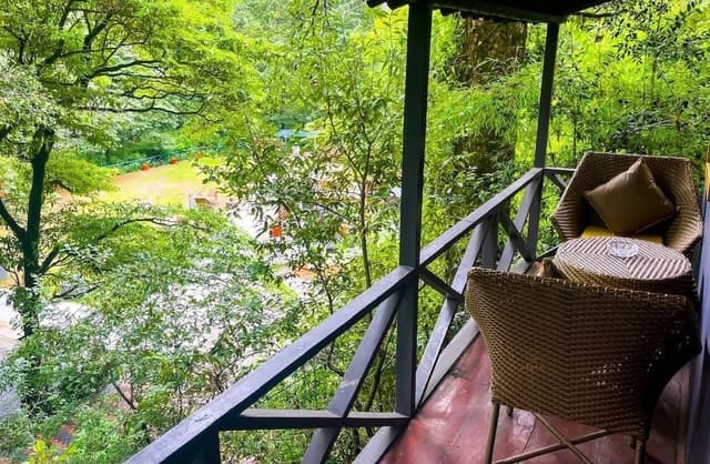 Machaan