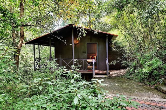 Machaan