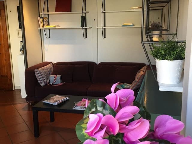 Basic Studio