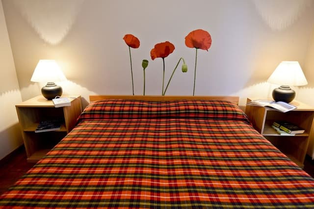 Comfort Apartment, 1 Bedroom