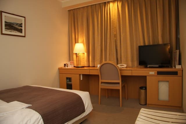 Single Room, Non Smoking