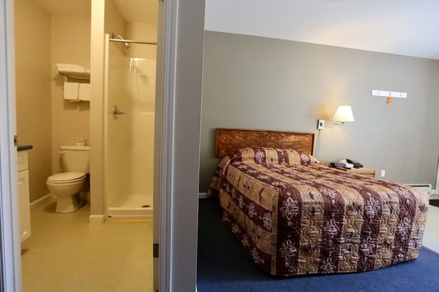 Single Bed Pet Friendly