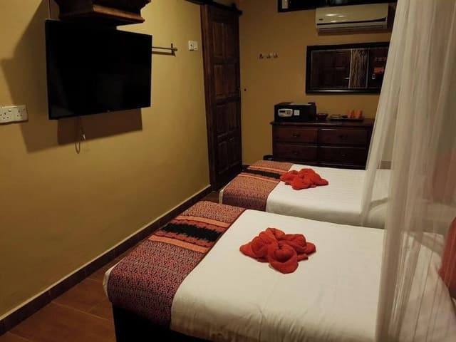 Superior Double or Twin Room