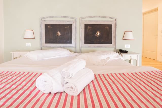 Superior Double or Twin Room